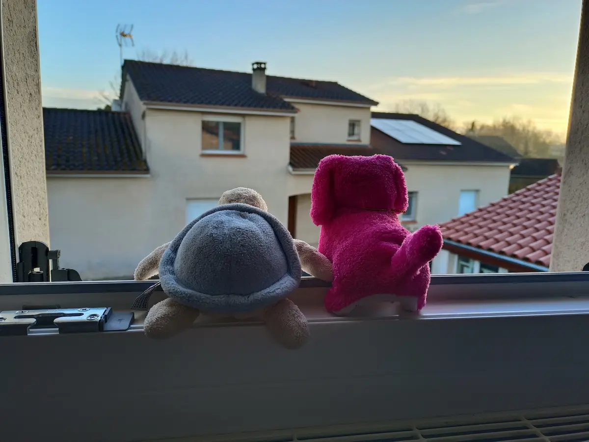 Deux peluches regardent par la fenêtre, au lever du soleil